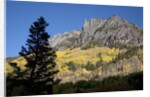 San Juan Mountains and autumn color behind Telluride, CO off mining road by Anonymous