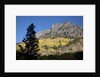 San Juan Mountains and autumn color behind Telluride, CO off mining road by Anonymous