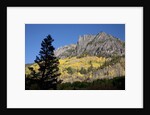 San Juan Mountains and autumn color behind Telluride, CO off mining road by Anonymous