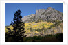 San Juan Mountains and autumn color behind Telluride, CO off mining road by Anonymous