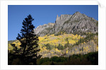San Juan Mountains and autumn color behind Telluride, CO off mining road by Anonymous