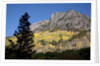 San Juan Mountains and autumn color behind Telluride, CO off mining road by Anonymous