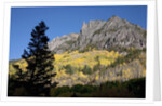 San Juan Mountains and autumn color behind Telluride, CO off mining road by Anonymous