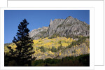 San Juan Mountains and autumn color behind Telluride, CO off mining road by Anonymous