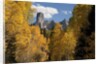 Chimney Peak and Courthouse Mountains in the Uncompahgre National Forest, Colorado by Anonymous
