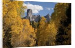 Chimney Peak and Courthouse Mountains in the Uncompahgre National Forest, Colorado by Anonymous