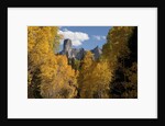 Chimney Peak and Courthouse Mountains in the Uncompahgre National Forest, Colorado by Anonymous