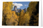 Chimney Peak and Courthouse Mountains in the Uncompahgre National Forest, Colorado by Anonymous