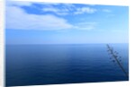 Baia de Tossa by Anonymous