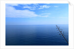Baia de Tossa by Anonymous