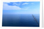 Baia de Tossa by Anonymous