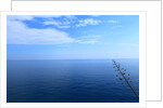 Baia de Tossa by Anonymous