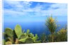 Baia de Tossa by Anonymous