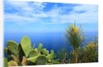 Baia de Tossa by Anonymous