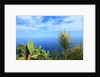 Baia de Tossa by Anonymous