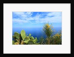 Baia de Tossa by Anonymous