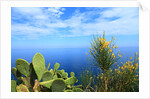 Baia de Tossa by Anonymous