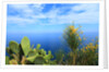 Baia de Tossa by Anonymous