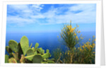 Baia de Tossa by Anonymous