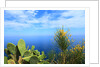 Baia de Tossa by Anonymous