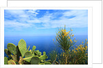 Baia de Tossa by Anonymous