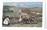 Monks ploughing the land with oxen. Germany. by Anonymous