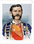 Nicholas I (1841-1921). Prince (1860-1910) and King of Montenegro (1910-1918). by Anonymous