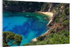 View of the coast from the panoramic road to Sant Feliu de Guixols by Anonymous