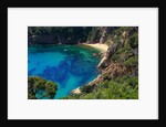 View of the coast from the panoramic road to Sant Feliu de Guixols by Anonymous
