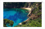 View of the coast from the panoramic road to Sant Feliu de Guixols by Anonymous