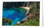 View of the coast from the panoramic road to Sant Feliu de Guixols by Anonymous