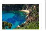 View of the coast from the panoramic road to Sant Feliu de Guixols by Anonymous