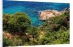 View of the coast from the panoramic road to Sant Feliu de Guixols by Anonymous