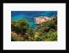 View of the coast from the panoramic road to Sant Feliu de Guixols by Anonymous