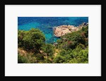 View of the coast from the panoramic road to Sant Feliu de Guixols by Anonymous