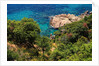 View of the coast from the panoramic road to Sant Feliu de Guixols by Anonymous