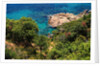 View of the coast from the panoramic road to Sant Feliu de Guixols by Anonymous