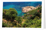 View of the coast from the panoramic road to Sant Feliu de Guixols by Anonymous