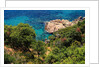 View of the coast from the panoramic road to Sant Feliu de Guixols by Anonymous