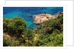 View of the coast from the panoramic road to Sant Feliu de Guixols by Anonymous