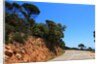 View of the coast from the panoramic road to Sant Feliu de Guixols by Anonymous