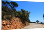 View of the coast from the panoramic road to Sant Feliu de Guixols by Anonymous