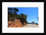 View of the coast from the panoramic road to Sant Feliu de Guixols by Anonymous