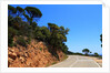 View of the coast from the panoramic road to Sant Feliu de Guixols by Anonymous