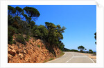 View of the coast from the panoramic road to Sant Feliu de Guixols by Anonymous