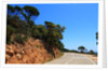 View of the coast from the panoramic road to Sant Feliu de Guixols by Anonymous