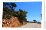 View of the coast from the panoramic road to Sant Feliu de Guixols by Anonymous