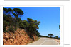 View of the coast from the panoramic road to Sant Feliu de Guixols by Anonymous