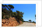 View of the coast from the panoramic road to Sant Feliu de Guixols by Anonymous