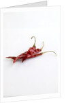 Dried deArbol chiles by Anonymous